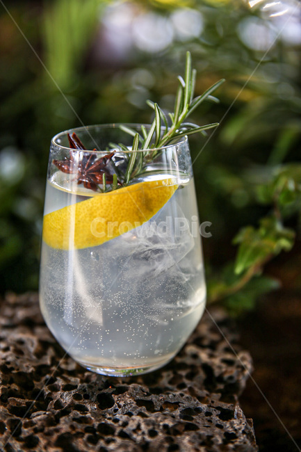 beverage,drink,칵테일,음료,진토닉