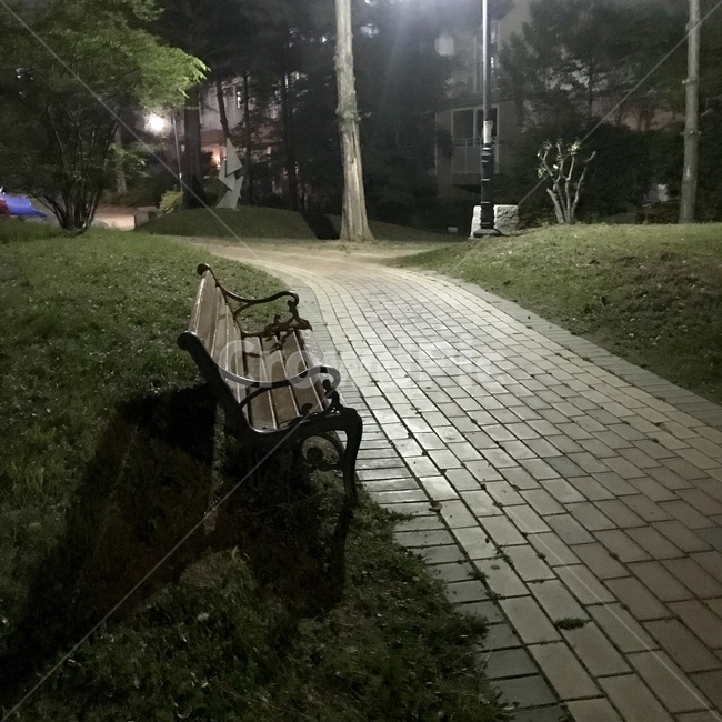 벤치,휴식,밤,쓸쓸함,고독,feeling,감성,의자,night,홀로,그림자,길,산책로,잔디,lonely,loneliness,불빛,shadow,가로등