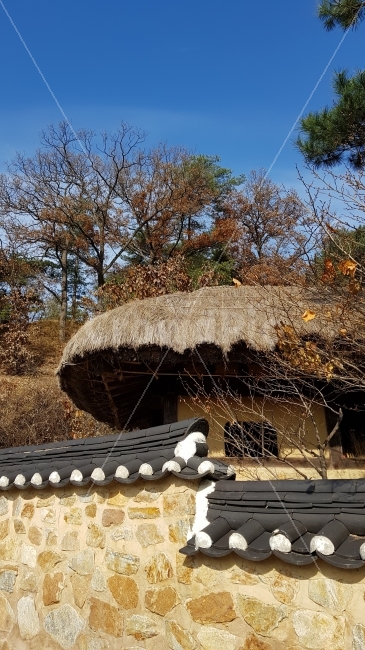담벼락,초가집,기와담,초가삼감,기와담과초가집,전통적인,한국적인,건축양식,건물,우리나라의,푸른,하늘,한국전통,한국문화,korean traditional,korean culture,건축물,건물외관,exterior,building,structure,architecture,construction