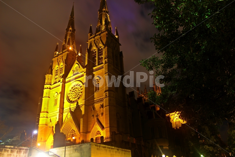 시드니,세인트메리,stmary,시드니성당,cathedral,야경,밤,풍경,nightscape,night,landscape,랜드마크,landmark,tourist attraction,해외,외국,세계,foreign,oversea,world,세계랜드마크,해외랜드마크,외국랜드마크,world landmark,world tourist attraction,종교,신앙,religion,belief,faith,건축물,건물외관,exterior,building,structure,architecture,construction,spire,첨탑,steeple,뾰족한 탑,tower,탑,건물