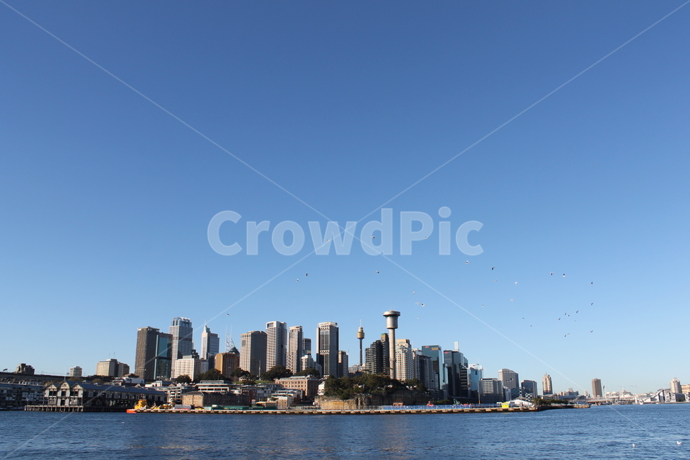 시드니,sydney,cityview,시티,city,건물,building,architecture,도시,어반,urban,metropolis,중심지,하늘,푸른하늘,파란하늘,sky,bluesky,blue,도시,풍경,city,landscape,해외,외국,세계,foreign,oversea,world,세계도시풍경,해외도시풍경,외국도시풍경,world cityscape