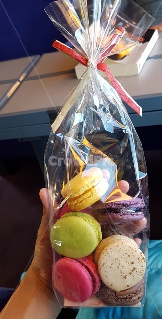 마카롱,기차안,기차,디저트,간식,과자,후식