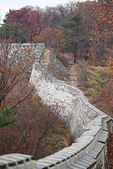 남한산성,성,성곽,단풍,낙엽,길,둘레길,담,돌담,가을,자연,풍경,벽,울긋불긋,산성,식물,가을,계절,fall,autumn,season