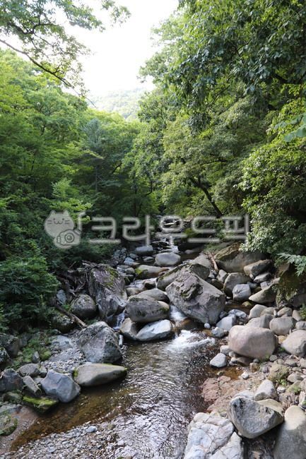 냇가, 냇물, 산, 숲, 바위, 사진,이미지,일러스트,캘리그라피 - 달애작가