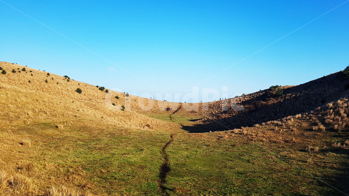 제주도,제주,초원,용눈이오름,오름,자연,풍경,jeju,grassland,hill,nature,landscape,하늘,sky,자연,풍경,nature,landscape