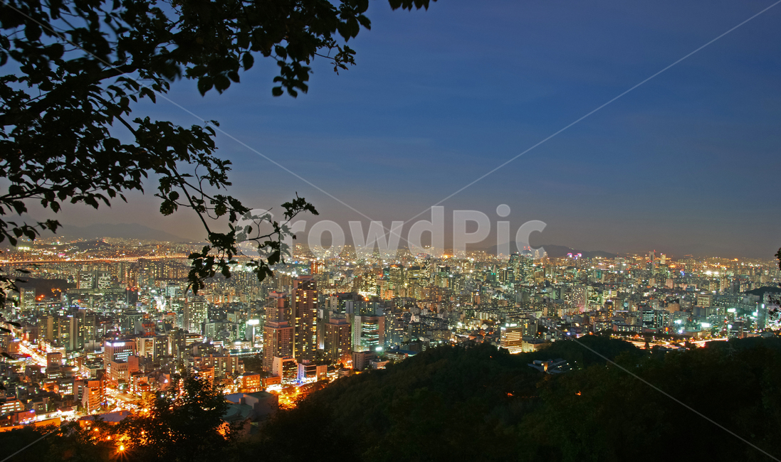 서울도심,서초구,우면산,서울,도심,야경,불빛,조명,야경,밤,풍경,nightscape,night,landscape,도시,city,한국도시풍경,한국도시경관,korea cityscape