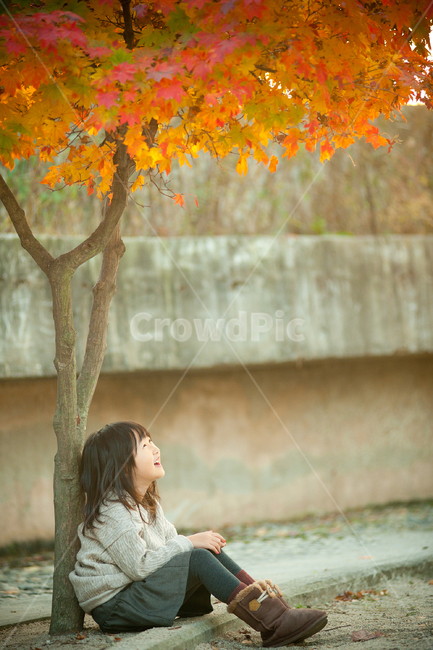단풍,나무,아이미소,행복한모습,가을,행복,공원,산책,미소,스마일,여자아이,가을,계절,fall,autumn,season,사람,인물,인간,human,person,어린이,어린아이,child,children,kid,leaf,잎,plant,식물