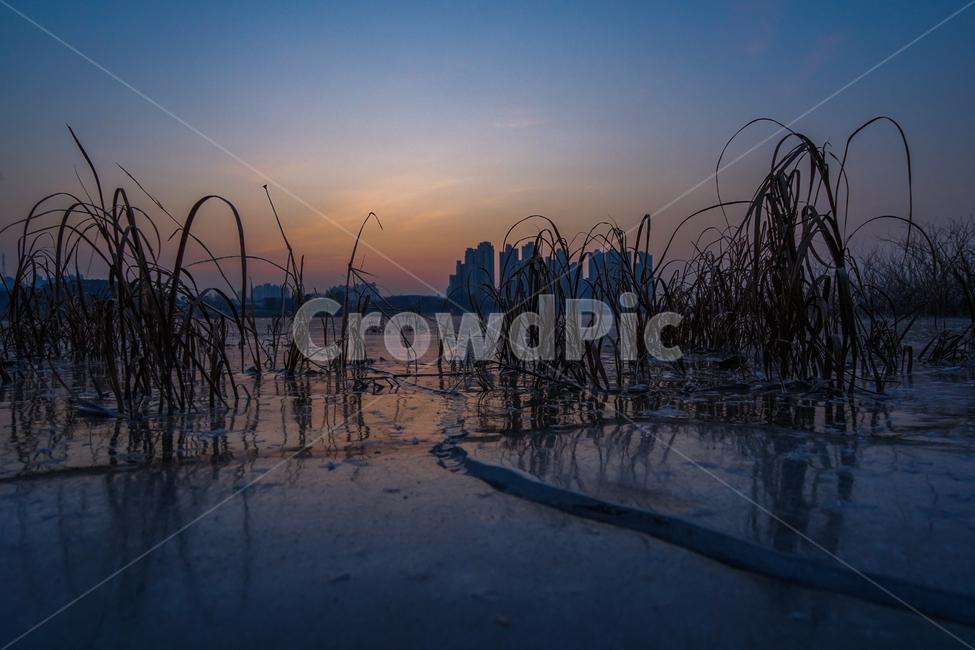 호수,여명,새벽,건물,얼음판,빙판,얼음,겨울,계절,감성,풍경,겨울,계절,winter,season