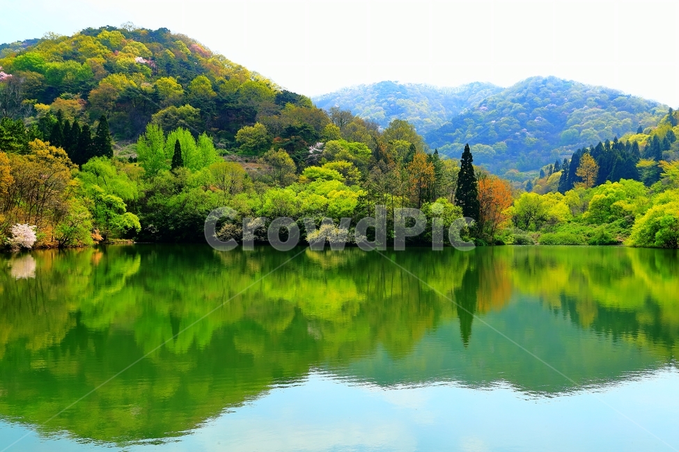 저수지,세량지,봄,나무,화순,물,화순가볼만한곳,반영,자연,자연,풍경,nature,landscape,한국자연풍경,한국자연경관,korea nature landscape,water,outdoors,옥외,lake,호수