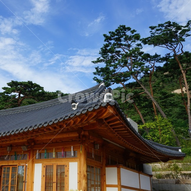 하늘,구름,푸른하늘,나무,자연,기와,기와지붕,처마,전통건축,한옥,건물,기와집,지붕,전통,패턴,옥상,배경,전통적인,한국의construction,한국전통,한국문화,koreantraditional,koreanculture,건축물,건물외관,exterior,building,structure,architecture
