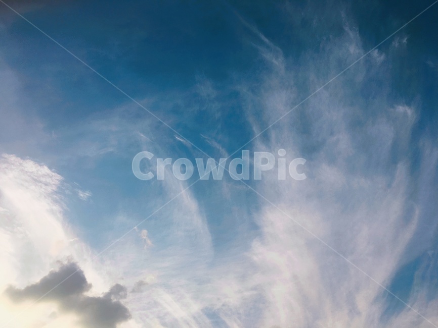 구름,하늘,권운,하늘색,자연,cloud,sky