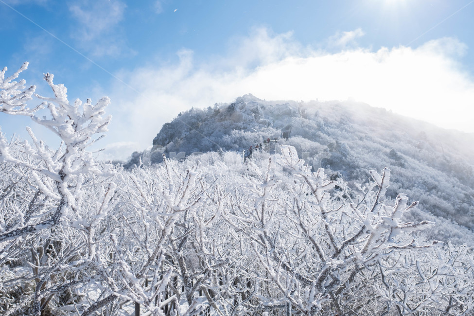 설경,산,겨울산,겨울,눈꽃,눈,등산,능선,추위,도전,하늘,구름,정상,흐림,덕유산,계절,winter,season,자연풍경,nature,landscape,한국자연풍경,한국자연경관,koreanaturelandscape,바람,흩날리다,무주,향적봉,상고대,눈보라,폭설,설산,설국,겨울,계절,winter,season,자연,풍경,nature,landscape,한국자연풍경,한국자연경관,korea nature landscape,outdoors,옥외,ice,빙,snow