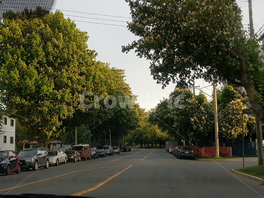 road,도로,길,asphalt,아스팔트
