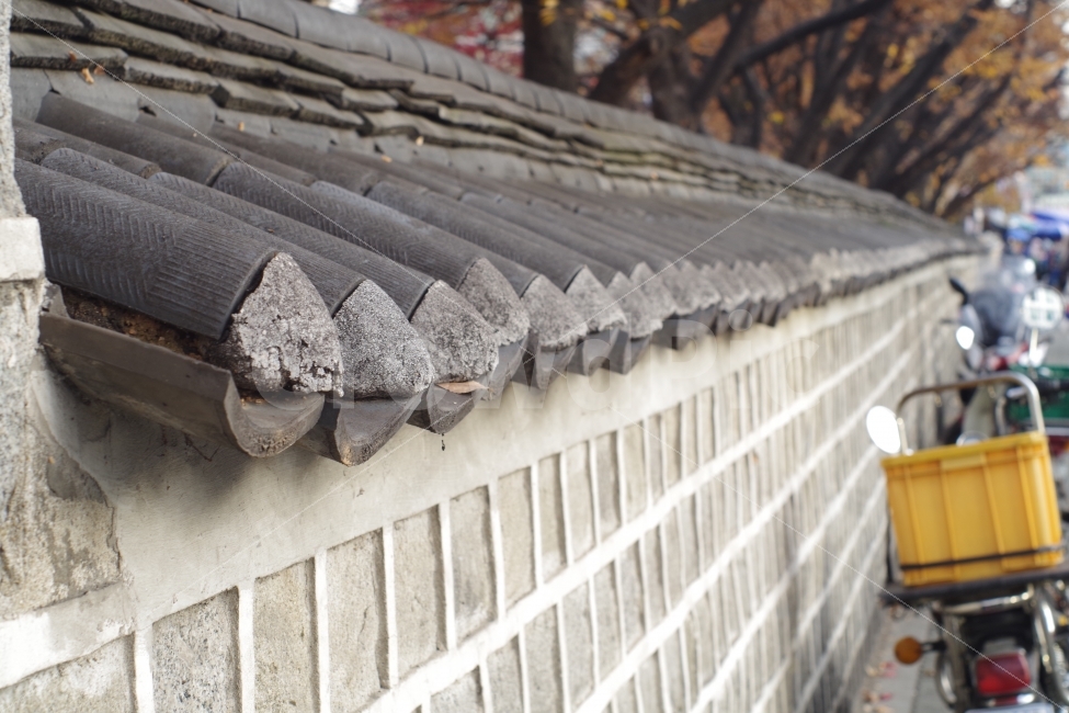 가을,돌담,동묘,나무,돌담길,한국전통,한국문화,korean traditional,korean culture,건축물,건물외관,exterior,building,structure,architecture,construction
