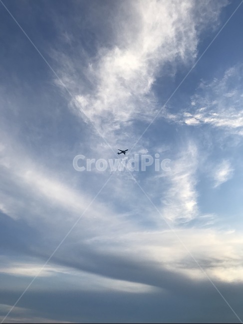 flying,나는,비행기,하늘,구름