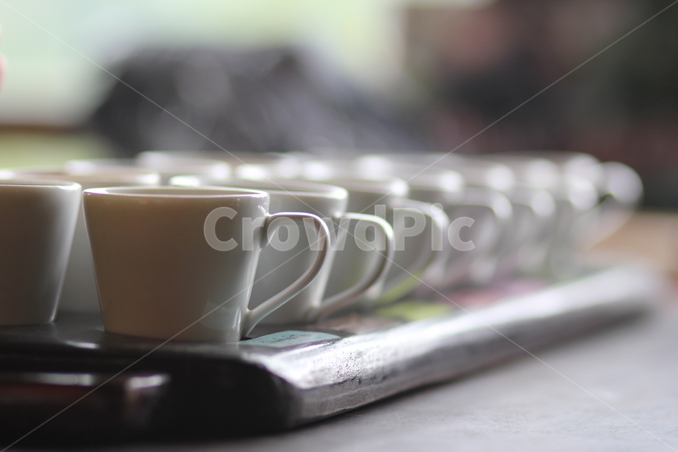 발리,커피,커피잔,coffeecup,Bali,커피농장,coffeeplantation,시음,커피,카페,coffee,cafe,감성,sensible,feeling