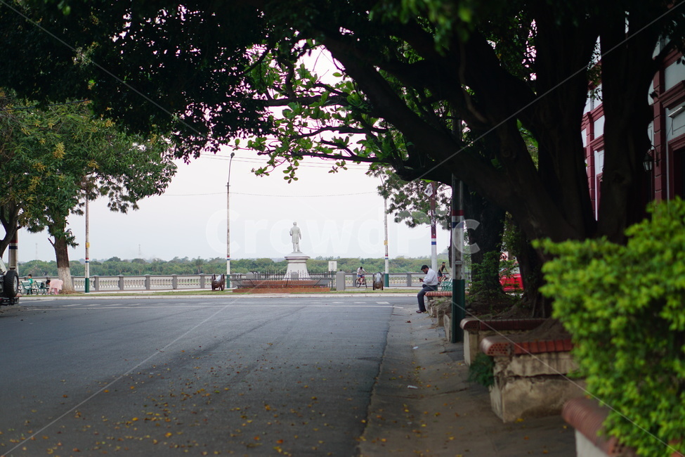 나무,야외,터널,통로,식물,사람,인간,path,tree,plant,person,human,평화로움,peaceful,파라과이,paraguay,정리된,기념탑