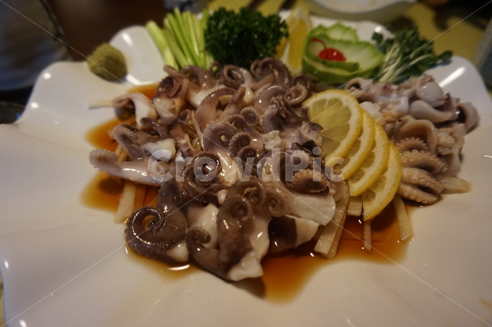 안주,쭈구미,해산물,food,음식,음식,식재료,요리,food,cook,meal,dishes,food reserves,수산물,해산물,fishery products,seafood