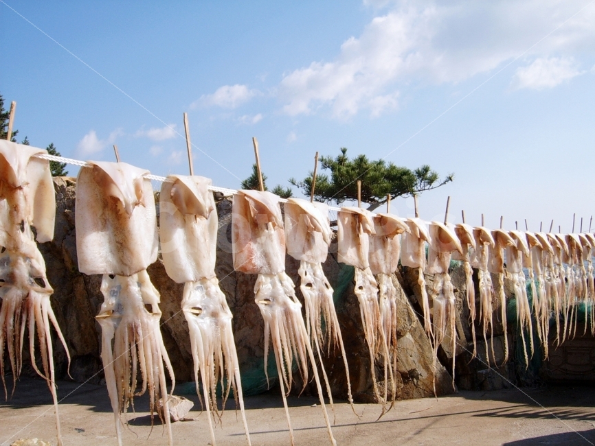 가면,mask,식품,food,바람,wind,음식,식재료,요리,food,cook,meal,dishes,food reserves,수산물,해산물,fishery products,seafood