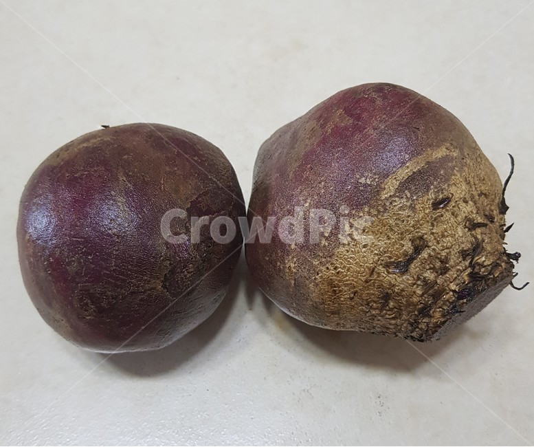 plant,식물,비트,채소,야채,레드비트,red,vegetable