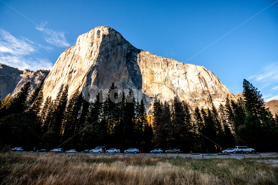 nature,자연,tree,나무,outdoors,mountain,산,미국,캘리포니아,요세미티,usa,california,yosemite,자연,풍경,nature,landscape,해외,외국,세계,foreign,oversea,world,세계자연풍경,해외자연풍경,외국자연풍경,world nature landscape