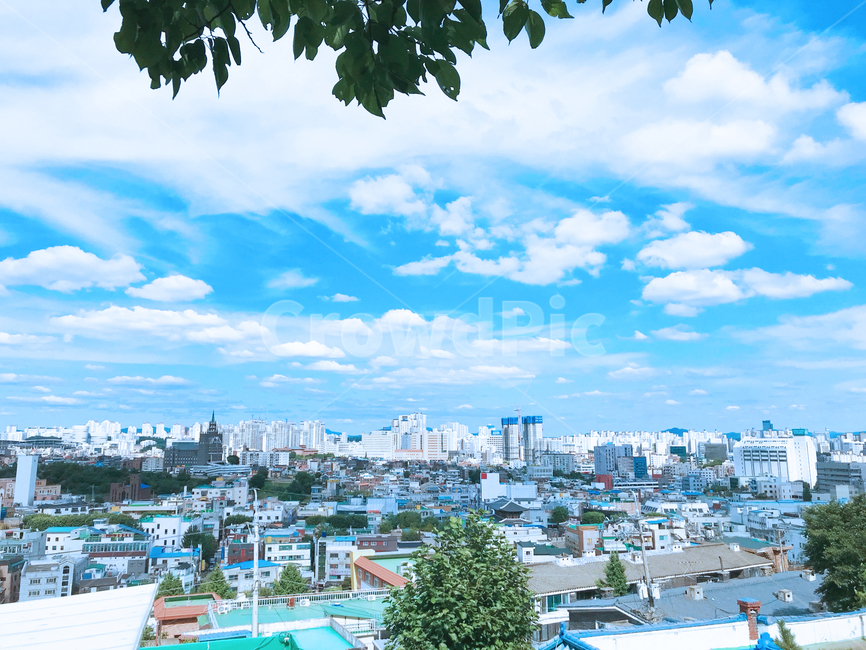 구름,하늘,풍경,뒷모습,자연,도시,풍경,city,landscape,한국도시풍경,한국도시경관,korea cityscape,plant,식물,tree,나무