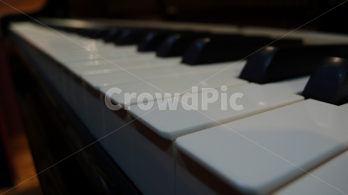 피아노,건반,접사,클래식,재즈,악기,음향기기,musical instrument,musical equipment