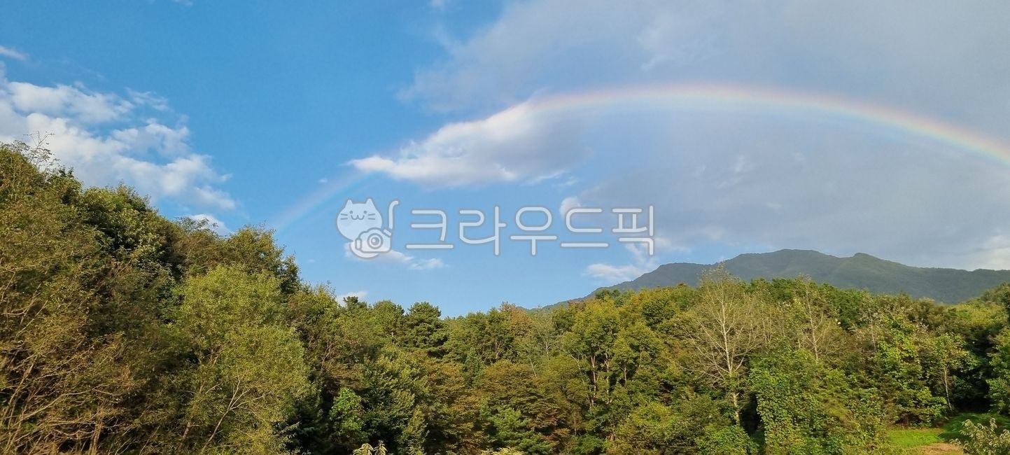 하늘,구름,무지개,쌍무지개,산,나무