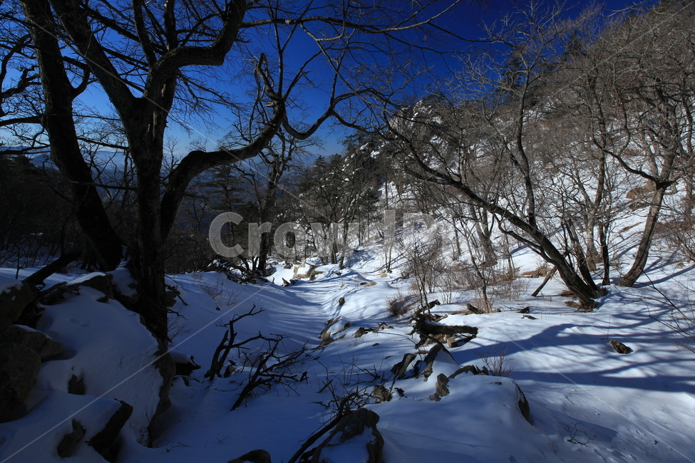 설악산,겨울산,파란하늘,겨울나무,능선,대청봉,겨울산행,등산,겨울,계절,winter,season,자연,풍경,nature,landscape,tree,나무,plant,식물,outdoors,옥외