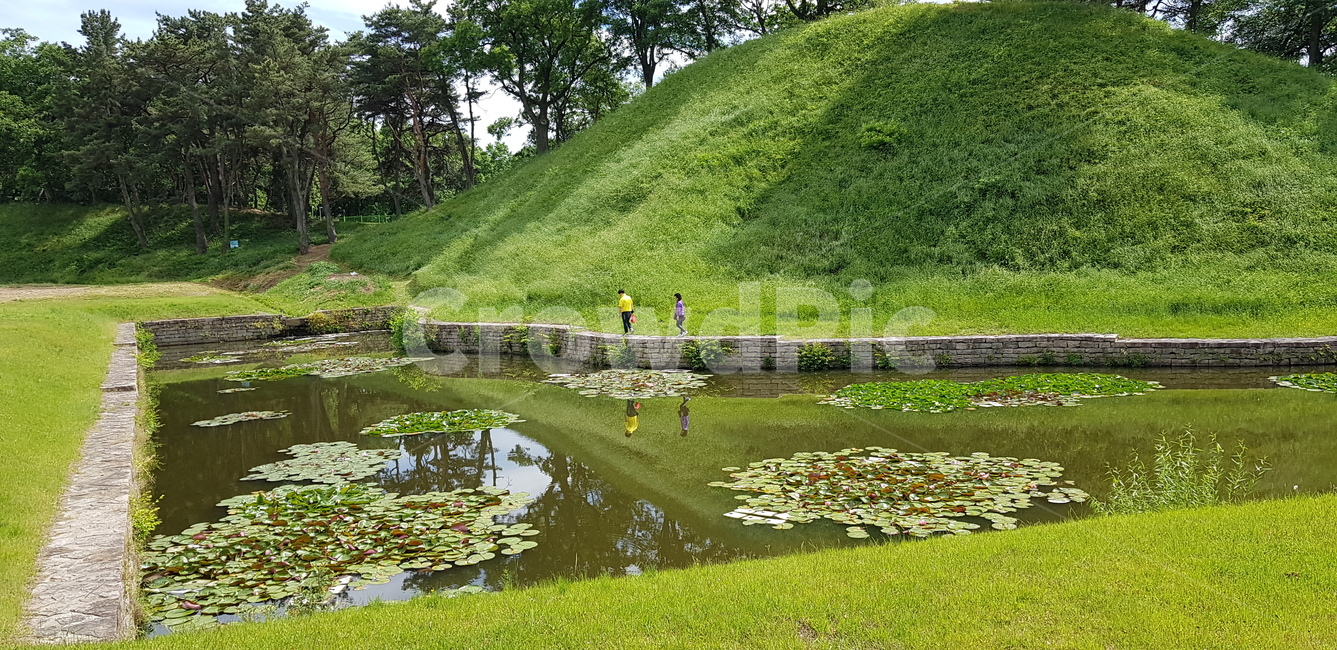 부부,경주,물,연못,연잎,남자,여자,비치다,반월성,pond,warm,walking,lotus,lotusleaves,water,man,woman,couple,love,follow