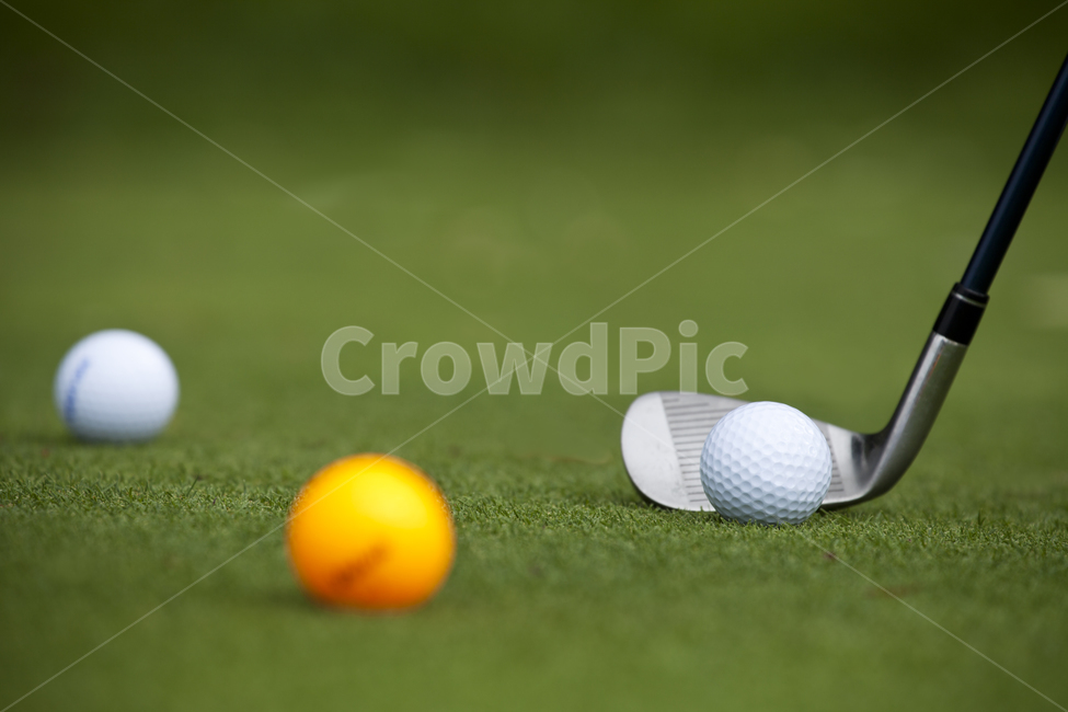 골프장,골프,잔디,녹색,골프공,green,grass,golf,스포츠,레저,운동,sports,leisure,exercise
