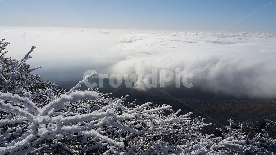 제주도,한라산,구름,눈,설경,겨울,계절,winter,season,자연,풍경,nature,landscape,outdoors,옥외