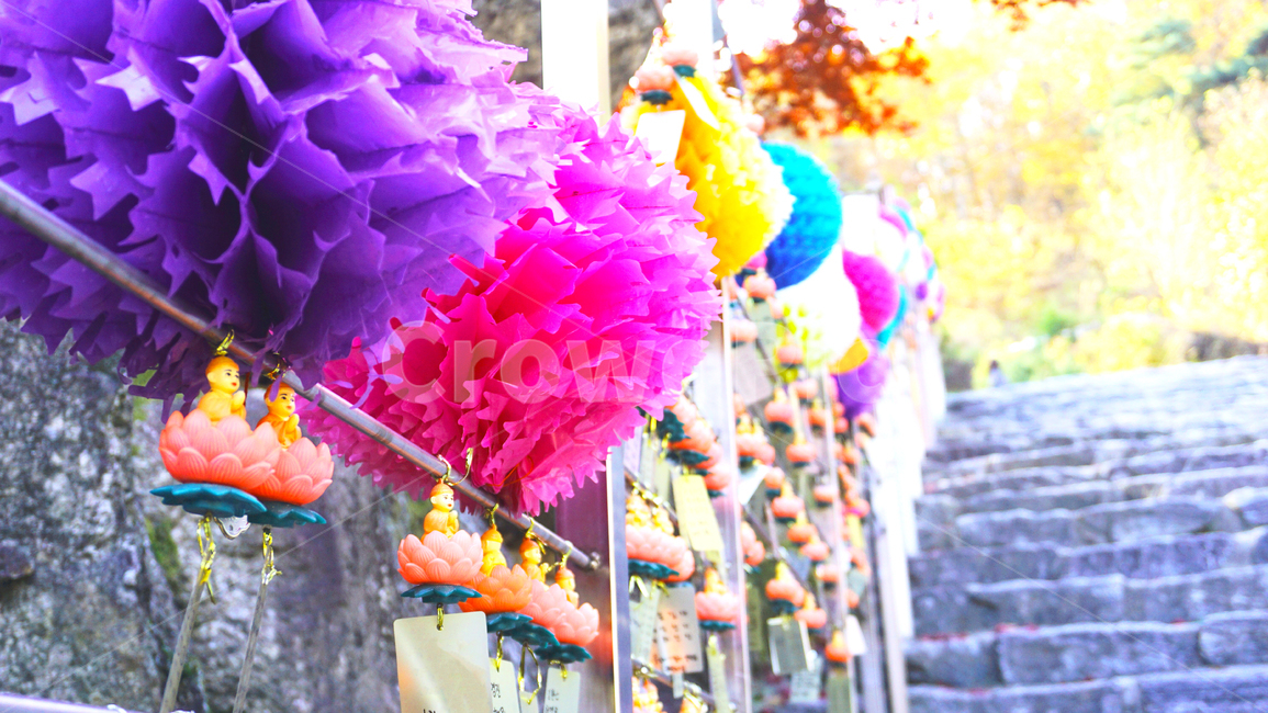 가을,사찰,화창한날,여유,정화,종교,신앙,religion,belief,faith,축제,행사,festival,carnival,event
