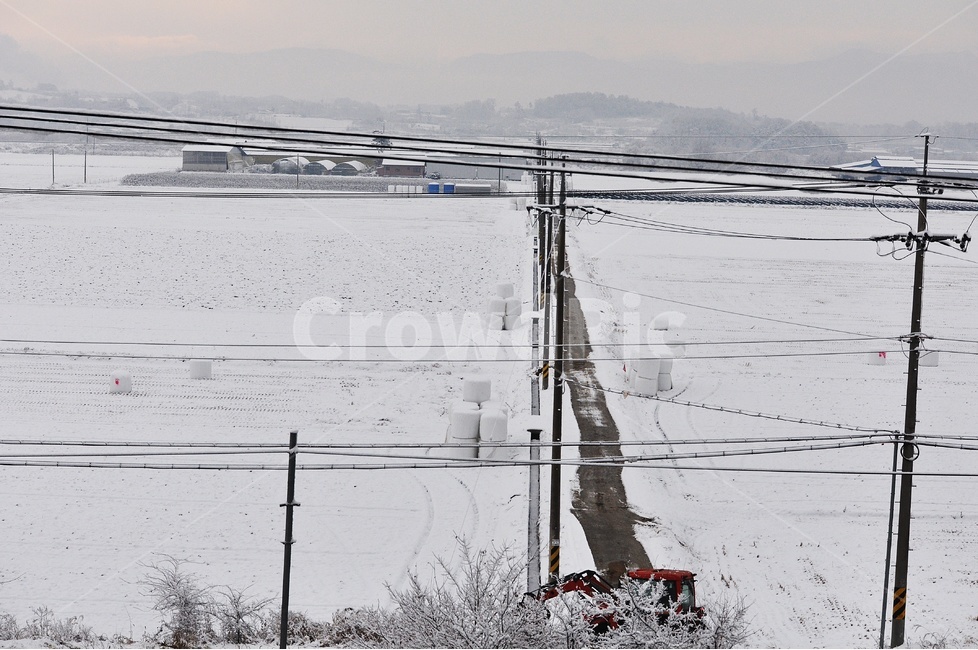 설경,눈,농촌,길,전봇대,겨울,계절,winter,season,시골,마을,풍경,landscape,country,rural,town
