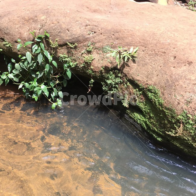 물,바위,강,자연,맑다,청정,깨끗,야외,맑음,river,nature,clean,water,outdoors,rock,brown