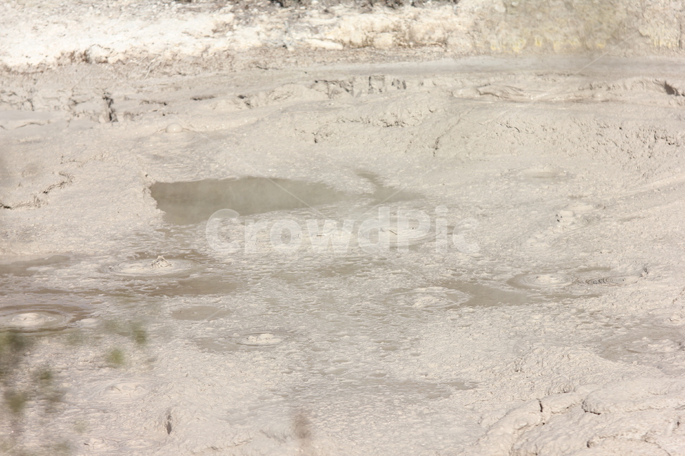 진흙,mud,로토루아,테푸이아,휴화산,자연,풍경,nature,landscape