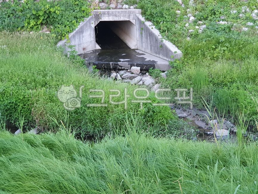 environment,sewer,nature protection,plant,River