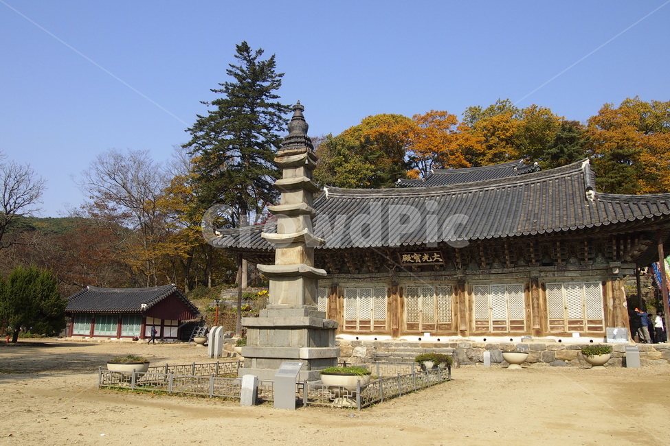 마곡사,사찰,단풍,architecture,건축물,building,건물,temple,person,human,사람,신전