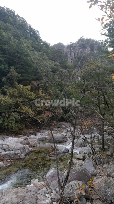 water,물,nature,자연,흐름,계곡,가을산