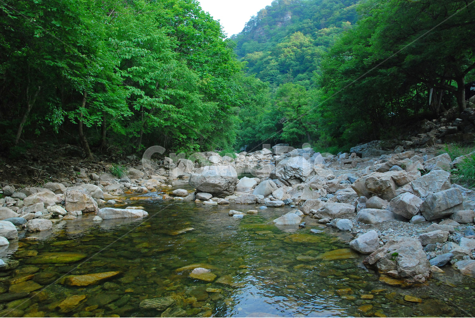 계곡,힐링,물,명산,시원함,cool,valley,healing,water,summer,휴식,쉼,맑은,흐르다,flow,mountain,waterfall,landscape,nature,자연풍경,자연,풍경,계절,시즌,rest,한국자연풍경,여름,숲,신록,자연,풍경,nature,landscape,한국자연풍경,한국자연경관,korea nature landscape,outdoors,옥외,creek,작은 만,stream,흐름