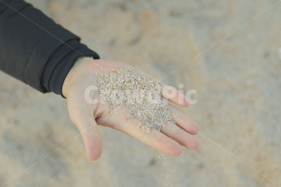 손,모래,바다,person,사람,human,인간