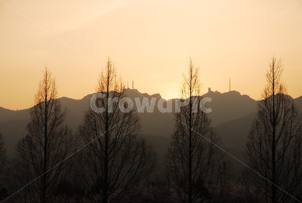 나무,석양,하늘,풍경,편한느낌,자연,풍경,nature,landscape