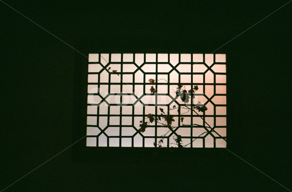 창호,벽,창문,한옥,한옥카페,벽지,창가,필름,감성,sensible,feeling,인테리어,실내디자인,interior design