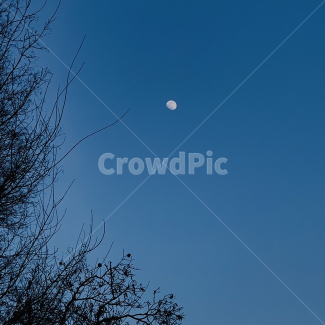 하늘,밤,야경,달,moon,nature,자연,sky,감성