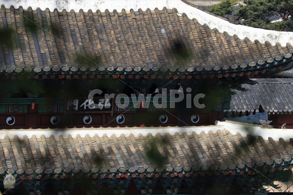 architecture,건축물,building,건물,palace,전통,랜드마크,창경궁,홍화문,한국전통,한국문화,korean traditional,korean culture