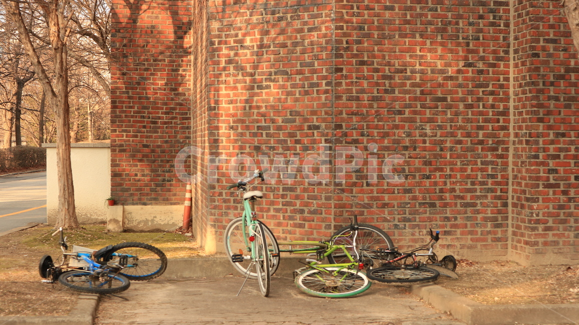 자전거,가을,bicycle,bike,벽돌,교정