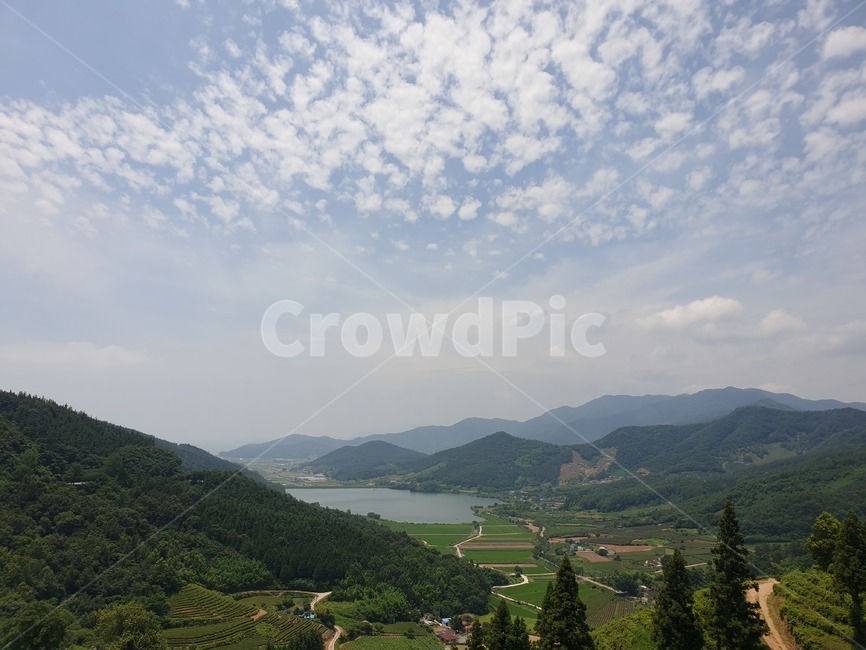 구름,녹차밭,보성녹차,하늘자연,산,경치,자연,풍경,nature,landscape,한국자연풍경,한국자연경관,korea nature landscape,시골,마을,country,rural,town,농업,농사,agriculture,farming,farming industry,outdoors,옥외,hill,언덕