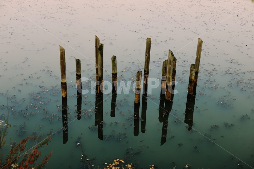호수,반영사진,나무발뚝,공원,몽환,lake,reflection,water,자연,풍경,nature,landscape,물,outdoors,옥외