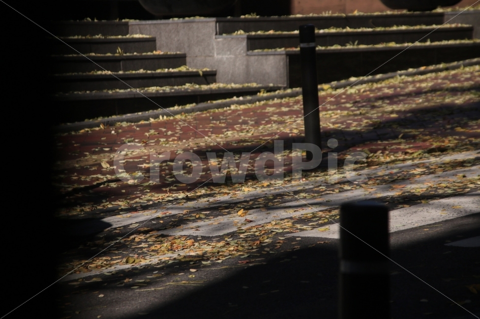 가을,풍경,나뭇잎,자연,도로,사진,카메라,가을,계절,fall,autumn,season,banister,난간,handrail