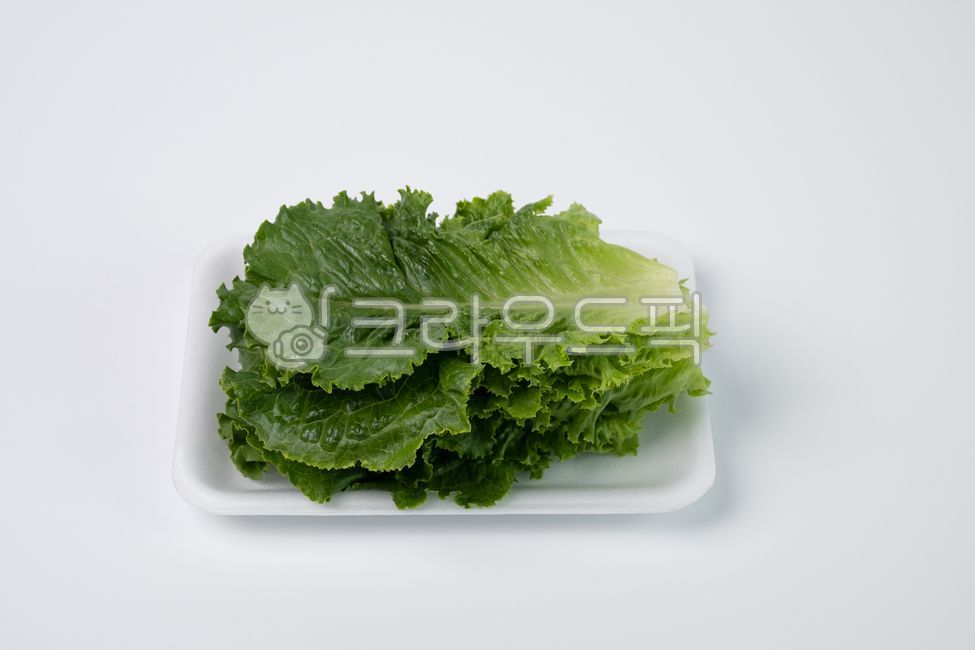 상추,아삭이상추,쌈,쌈채소,식재료,신선식품,식품,채소,야채,음식,식재료,요리,food,cook,meal,dishes,food reserves,채소,야채,vegetables